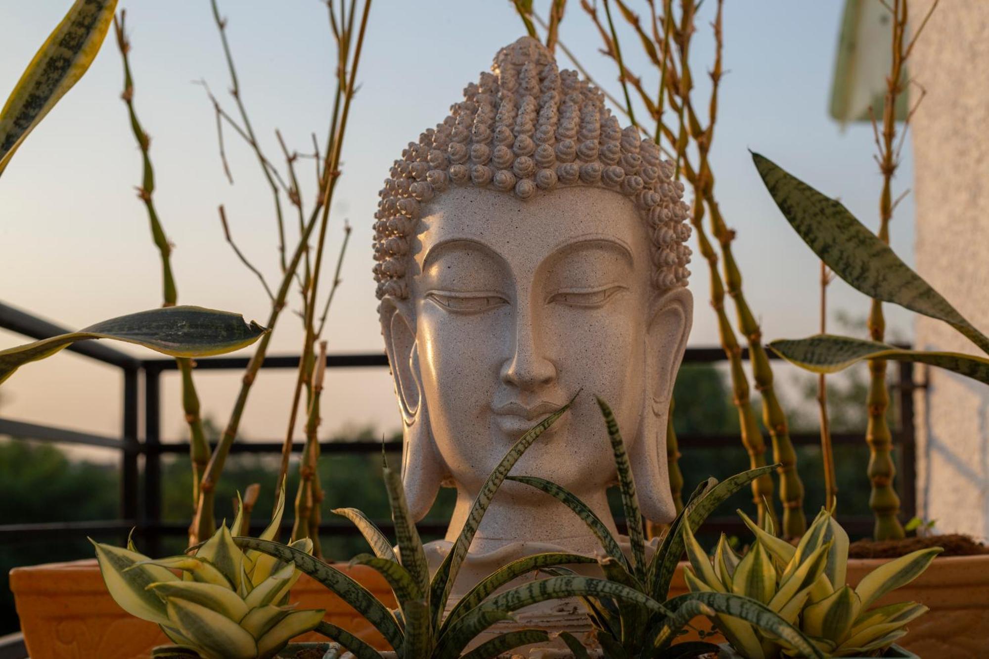 Secret Rooftop In North Delhi * New Delhi