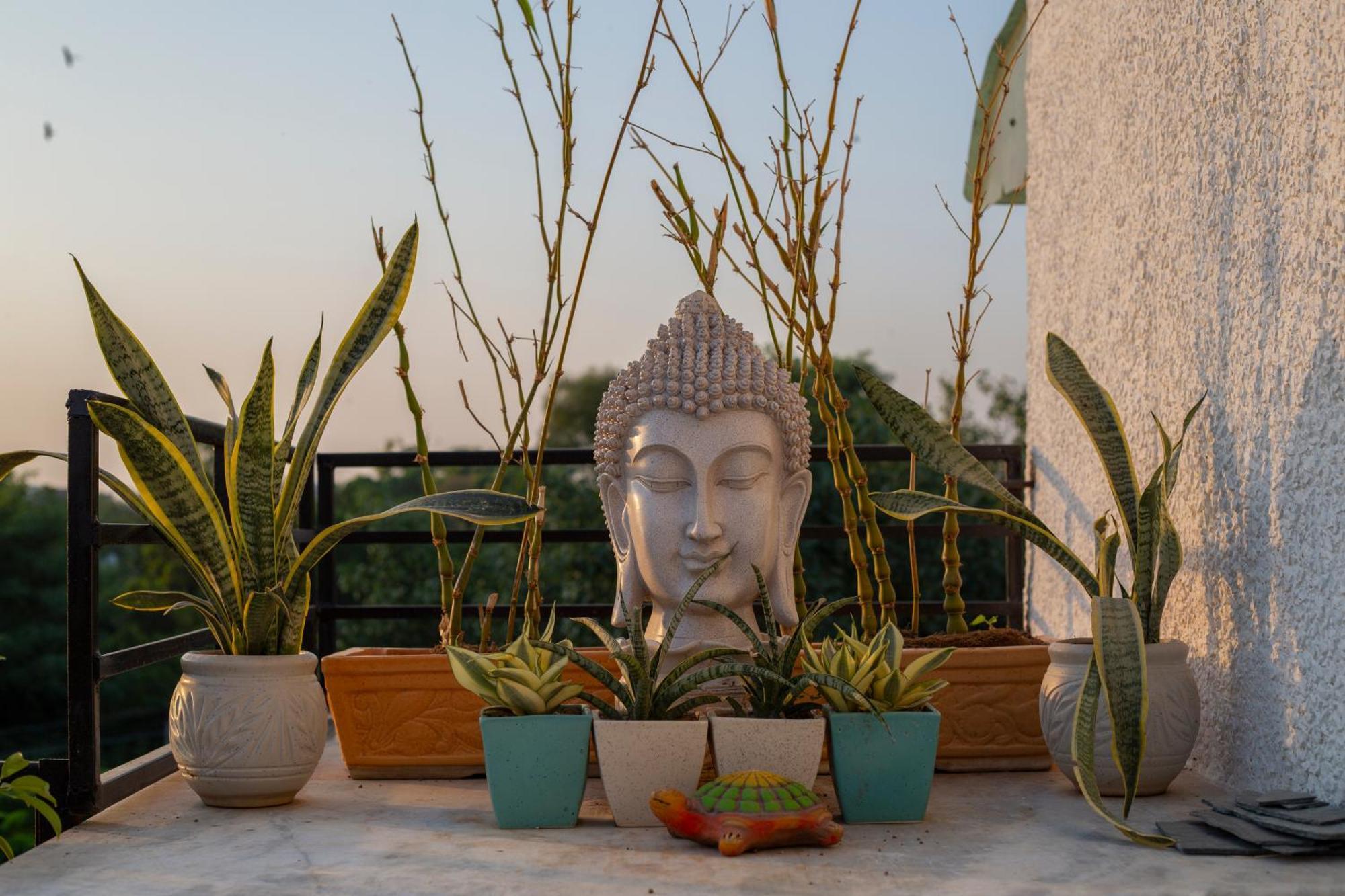 Secret Rooftop In North Delhi