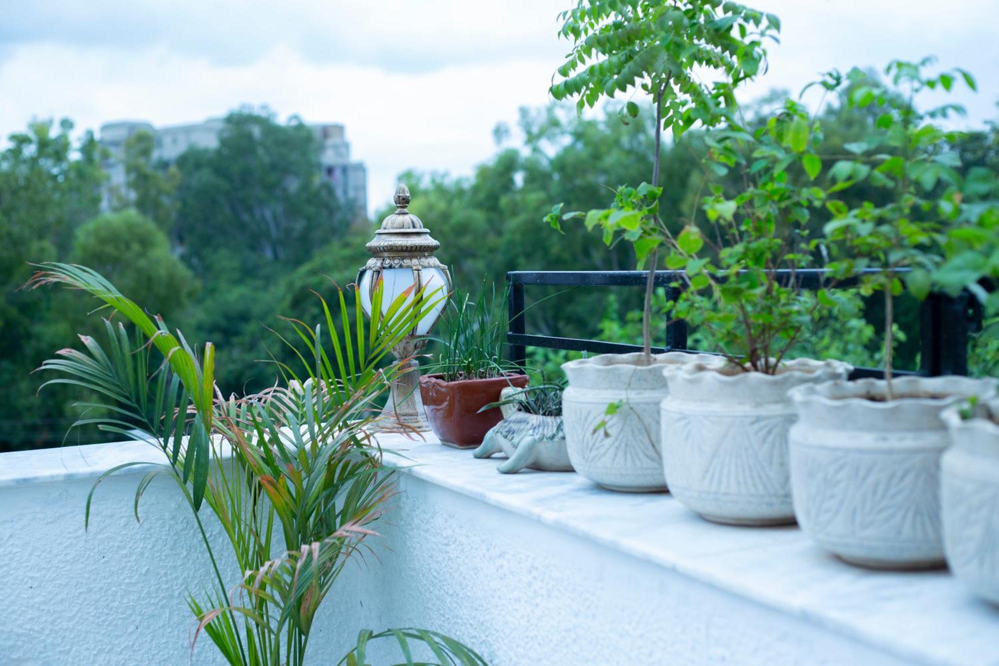 Secret Rooftop In North Delhi Apartment New Delhi