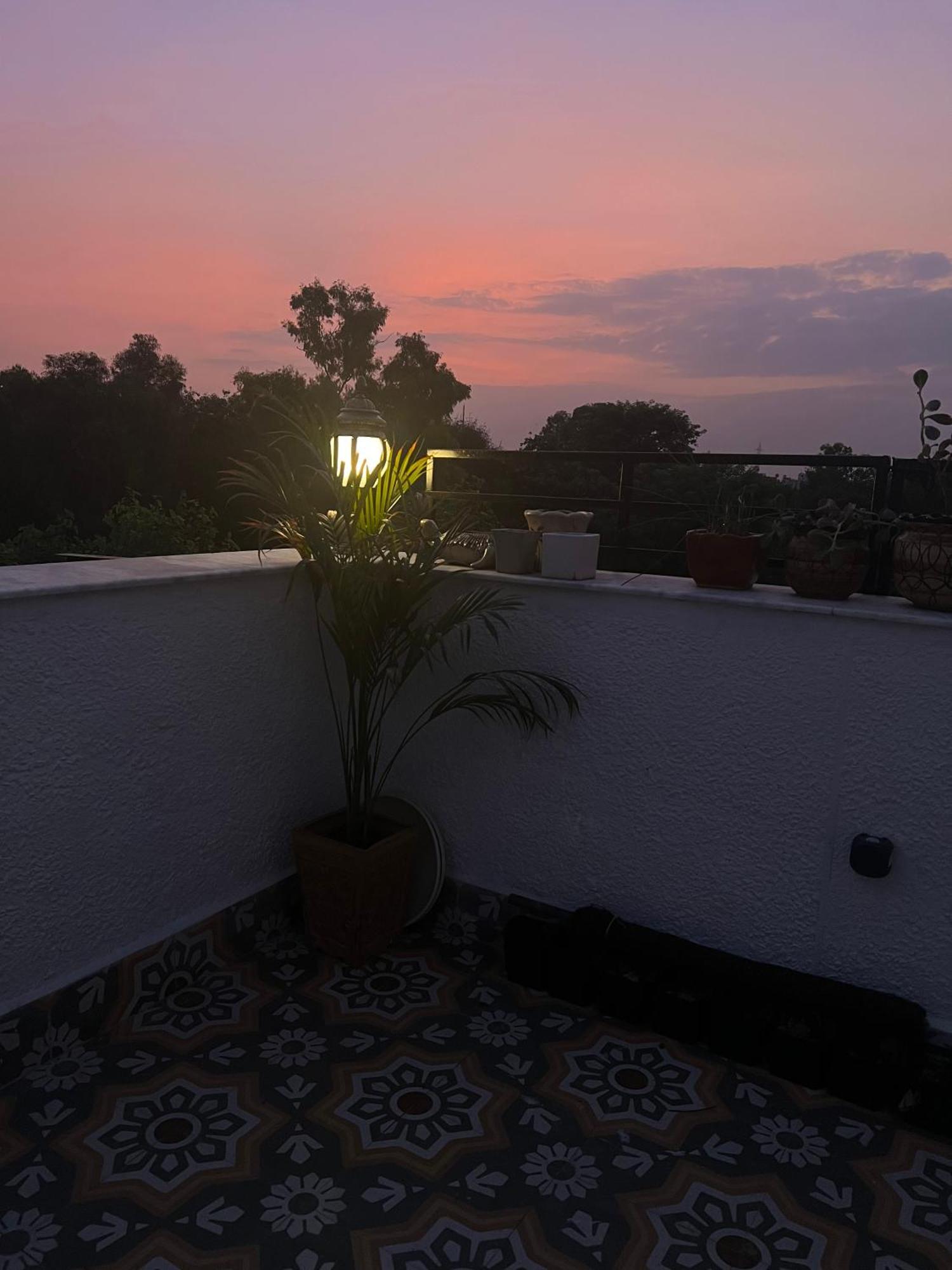 Secret Rooftop In North Delhi Apartment *